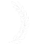 wreath